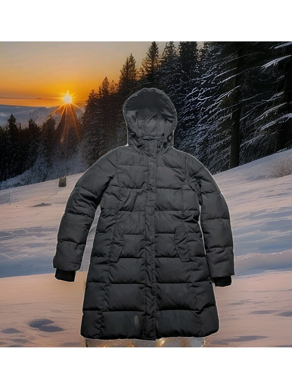 J. CREW Down Winter Puffer Jacket Hooded Mid Long Knee City Coat Womens Medium
